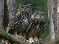 GIF by WDR