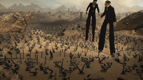 Dave Meyers GIF by P!NK