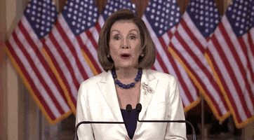 news impeachment nancy pelosi articles of impeachment article 2 says i can do whatever i want GIF