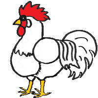 Rooster Hahn Sticker