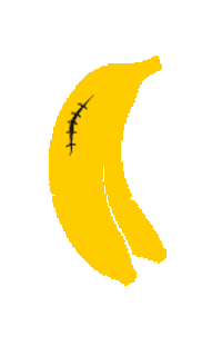 FightBananas fight mma boxing bananas Sticker