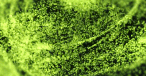 sudheepmetaaa293fbf69b64671ab4f3361b7d34b3f giphyupload GIF