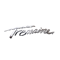 Teamtremaine Sticker by Tremaine Dance