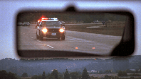 Cars Recherche GIF by Malcolm France