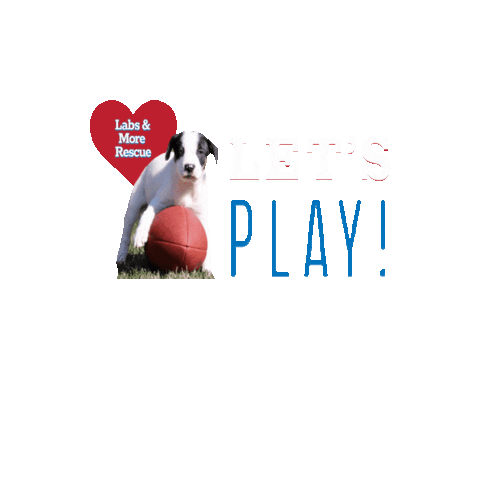 Letsplay Sticker by LabsAndMore