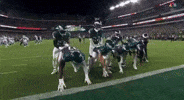 Philadelphia Eagles Go Birds GIF by Stock King Options
