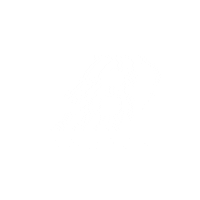 Try Brussels Sticker by Belgium Rugby
