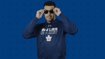 Hockey Sunglasses GIF by Toronto Marlies