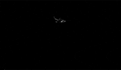 Drop Down GIF by X Ambassadors