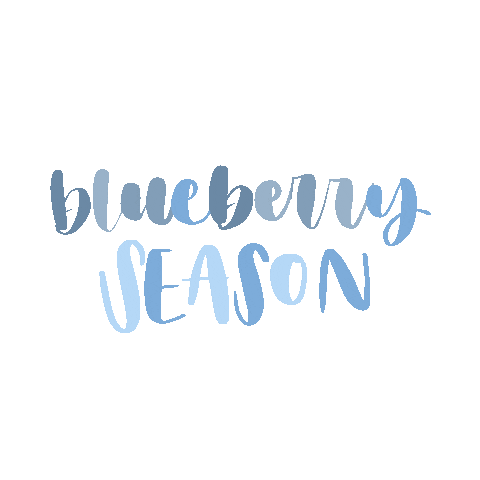 lululetter blueberry lululetter berry season Sticker