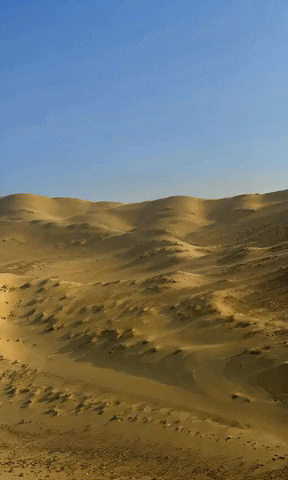 Sa Sd GIF by Aleksey Efremov