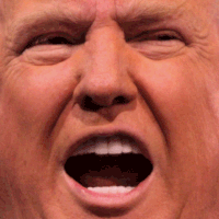 donald trump illustration GIF by weinventyou