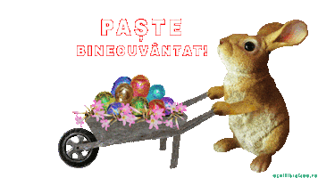 Greeting Cards Easter Sticker by echilibrultau