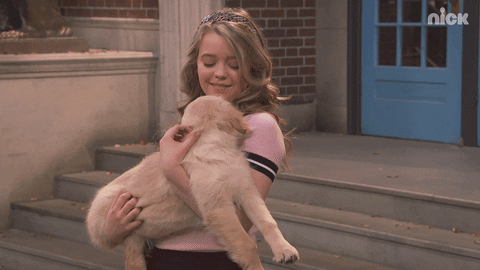school of rock puppy GIF by Nickelodeon
