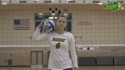 Volleyball Bison GIF by NDSU Athletics
