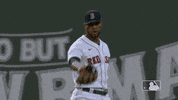 Major League Baseball Sport GIF by MLB