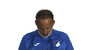 Look Up Tsg Hoffenheim Sticker by Bundesliga