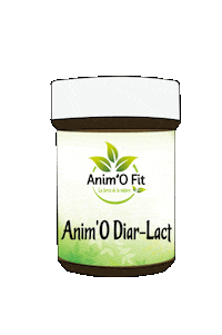 Caca Transit Sticker by Anim'O Fit