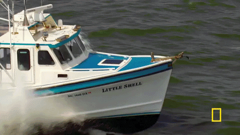 wicked tuna GIF by National Geographic Channel