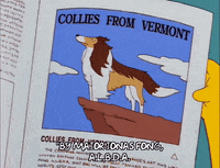 season 8 dog GIF
