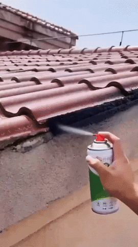 raydenreyes giphyupload GIF