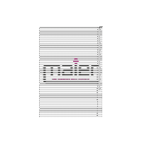 Illustration Loop Sticker by Pink Punkt Maier
