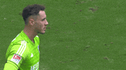 Football Soccer GIF by FC Schalke 04