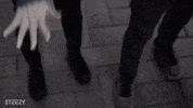 STEEZY_Studio  GIF
