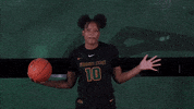 Ncaa Sports Sport GIF by Wright State University Athletics