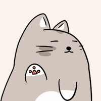 Cat No GIF by MESA My Emotional Support Animal