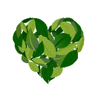 natural beauty skincare Sticker by Clarins