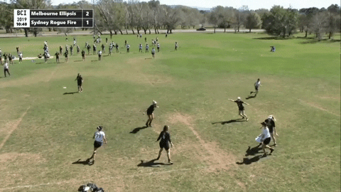 flikulti ultimate frisbee flik GIF