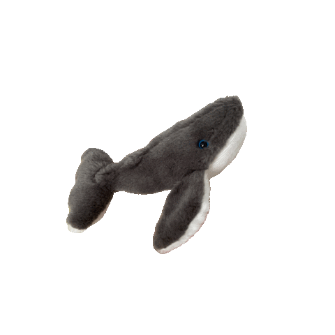 lifeatpacificlife pacific life whale Sticker