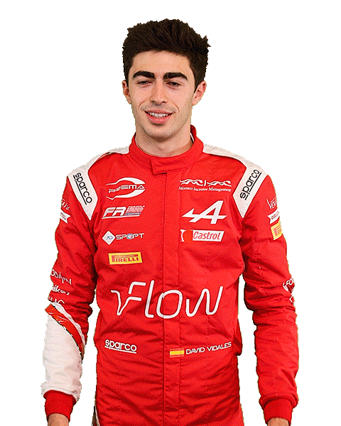 David Alpine Sticker by Prema Team