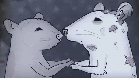 season 1 cats GIF by Animals