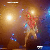Robin GIF by The Masked Singer UK