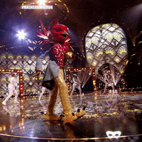 Robin GIF by The Masked Singer UK
