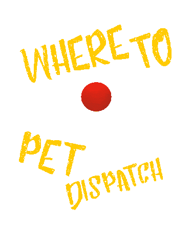 Cat Dog Sticker by WHERE TO PET ?