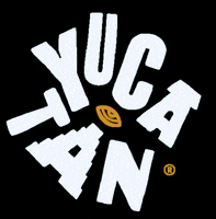 yucatanmexico vacaciones y merida yucatan GIF