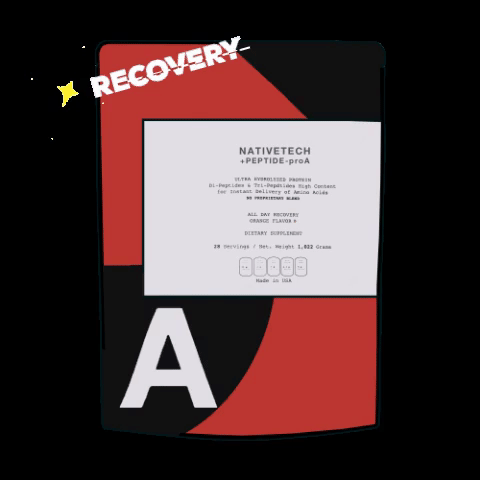 recovery GIF by nativetech