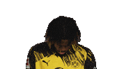 Borussia Dortmund Chukwuemeka Sticker by Bundesliga
