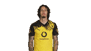 Borussia Dortmund Silva Sticker by Bundesliga