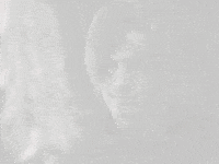 Video Games Leon GIF