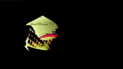 Video Art GIF by cskonopka