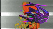 Video Art GIF by cskonopka
