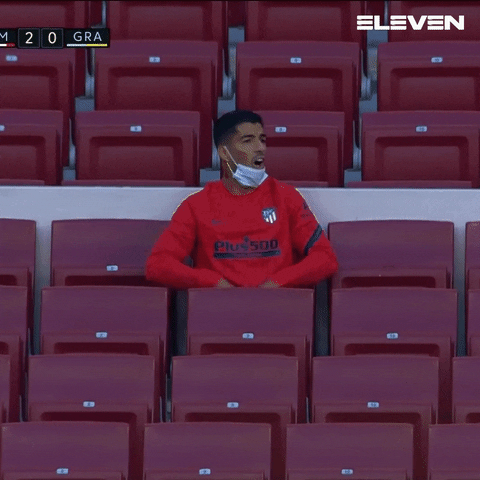 Happy Sport GIF by ElevenSportsBE