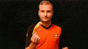 vvnieuwerkerk bird vogel vvnieuwerkerk GIF