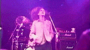 Eddie Vedder GIF by Pearl Jam