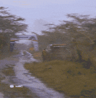 Rain Slide GIF by FIA World Rally Championship