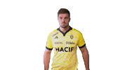 Sport Celebration Sticker by Stade Rochelais